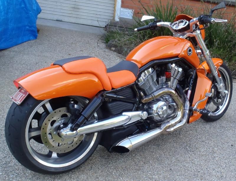 danmoto exhaust harley